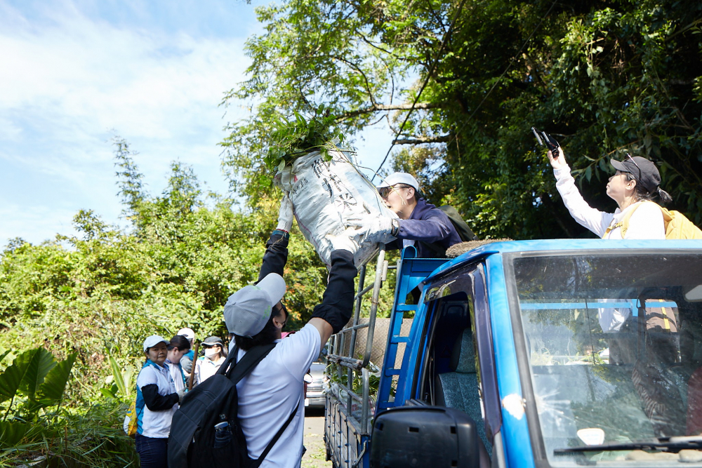 友達串聯志工組成水環境巡守隊，針對霄裡溪沿岸3公里的小花蔓澤蘭，定期進行移除與防治工作